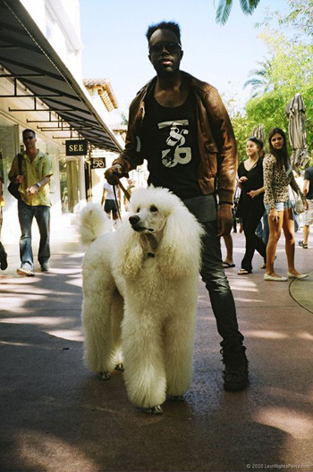 Janine Jarman's 6 Cool Holiday Hair Tips Curly Hair