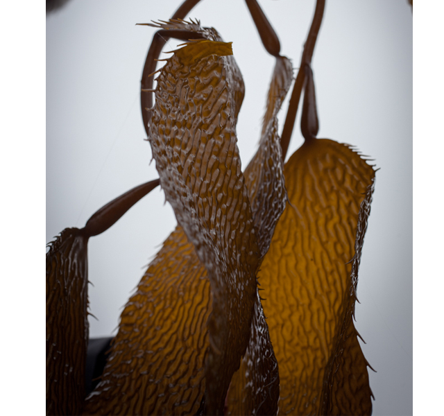 6 Skincare Products to Splurge On