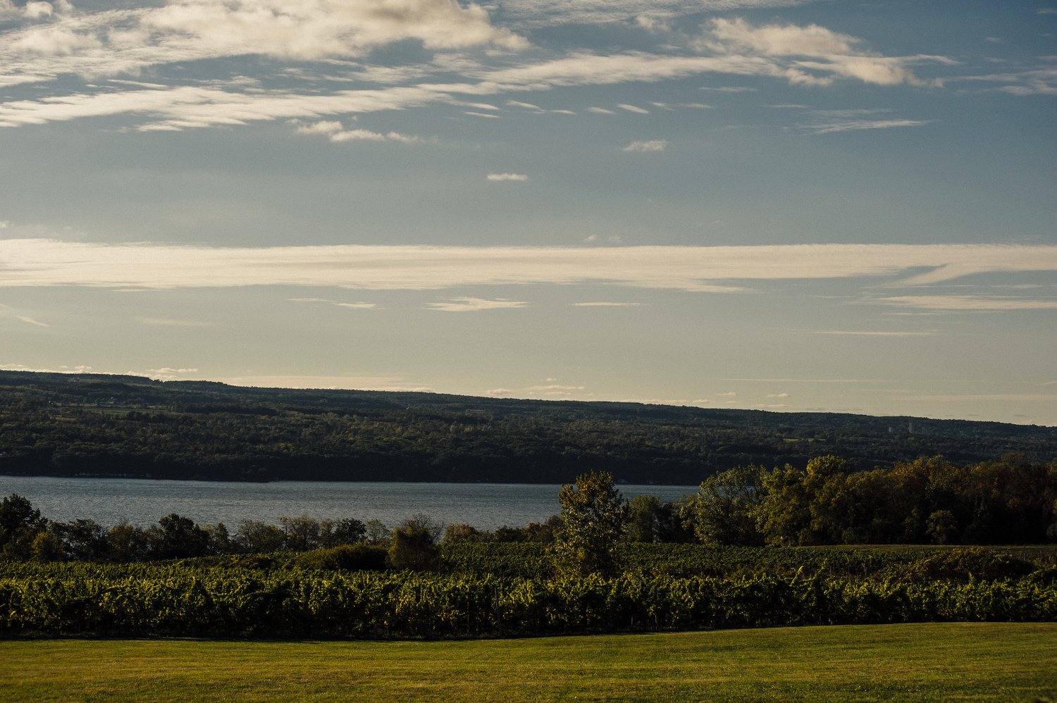 inside elsewhere finger lakes lake