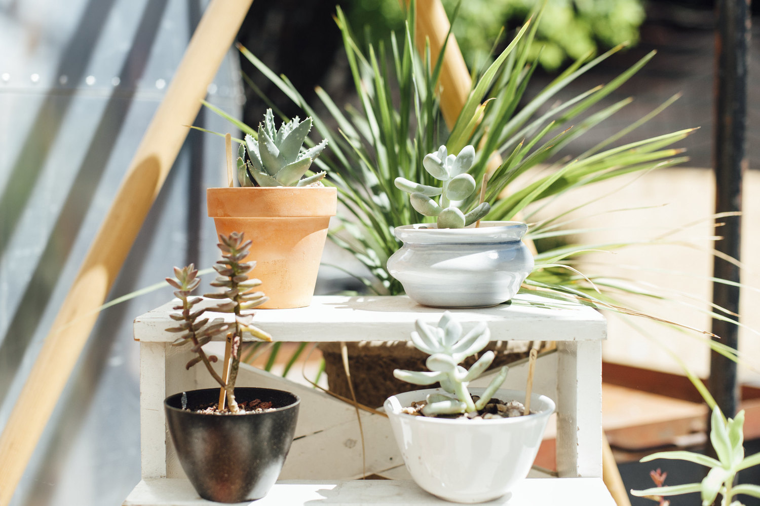 Portland shopping guide