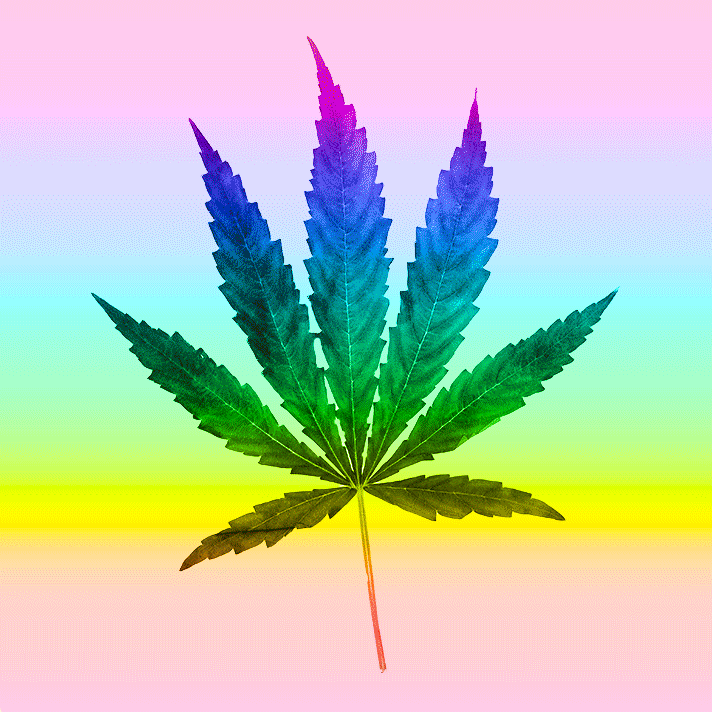 Music festival drug stories 2