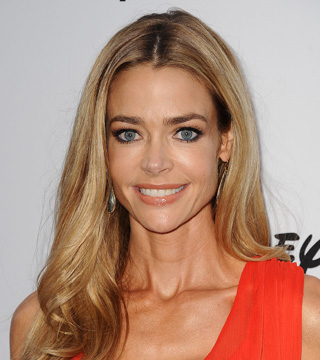 Why Did Charlie Sheen & Denise Richards Divorce?