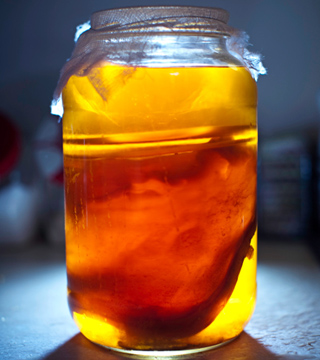 How Topical Probiotics Can Give You Gorgeous Skin - Daily Makeover