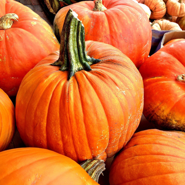 15 Slow Cooker Pumpkin Recipes To Try Out This Fall