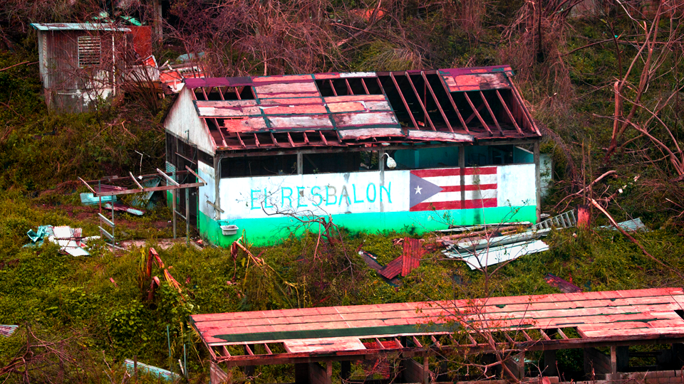 Black-Led L.G.B.T.Q.I.A.+ Organizations To Support During Pride Month