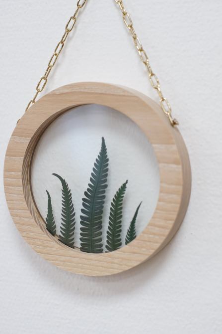 STYLECASTER | framed plants