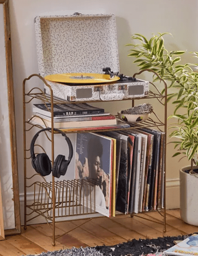 Vinyl Record Storage