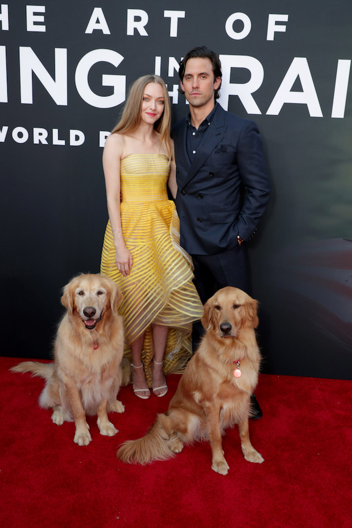 Amanda Seyfried, Milo Ventimiglia