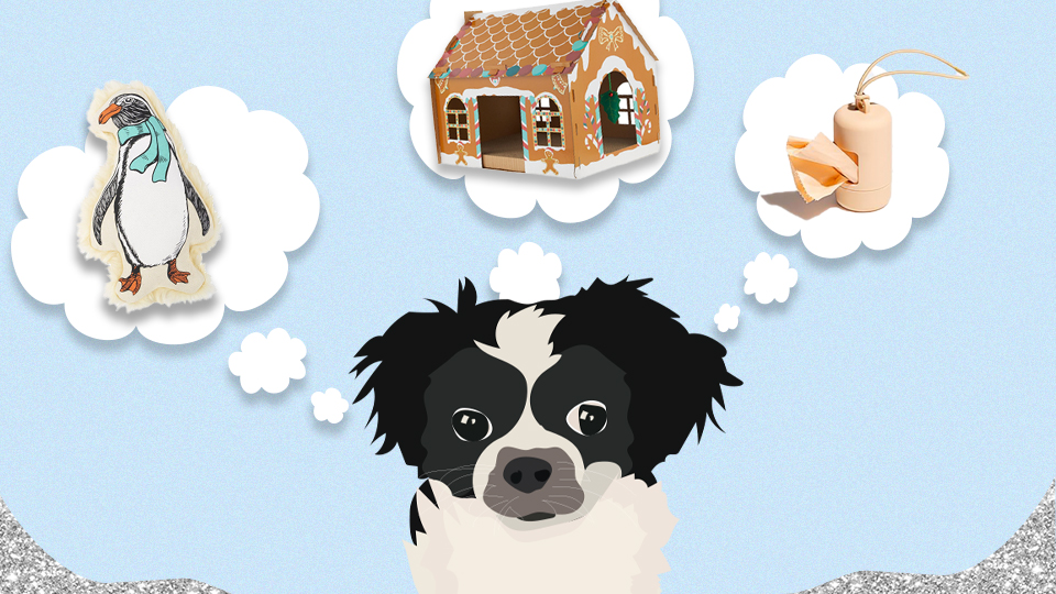 STYLECASTER | Stocking Stuffers for Pets