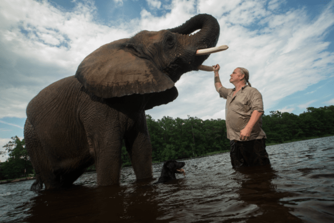 STYLECASTER | Tiger King Zoom backgrounds