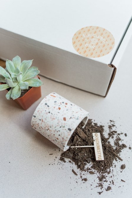 A succulent next to a knocked-over terrazzo pot