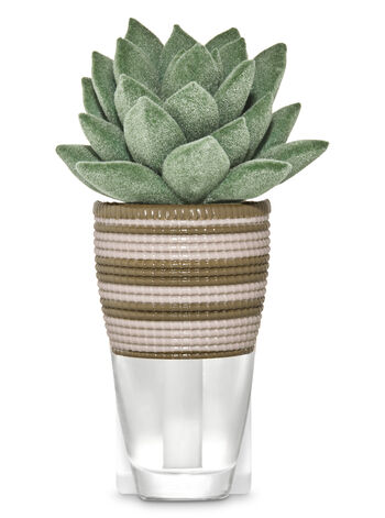 succulent-basket-wallflowers-fragrance-plug