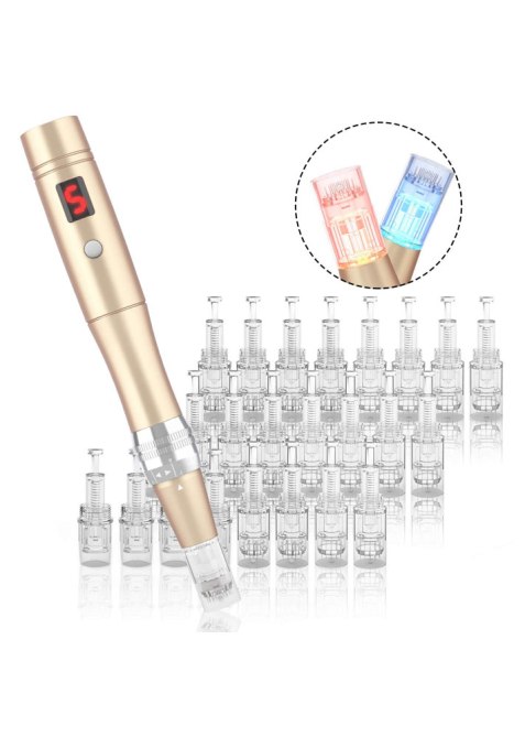Beautlinks Professional Microneedling Derma Pen