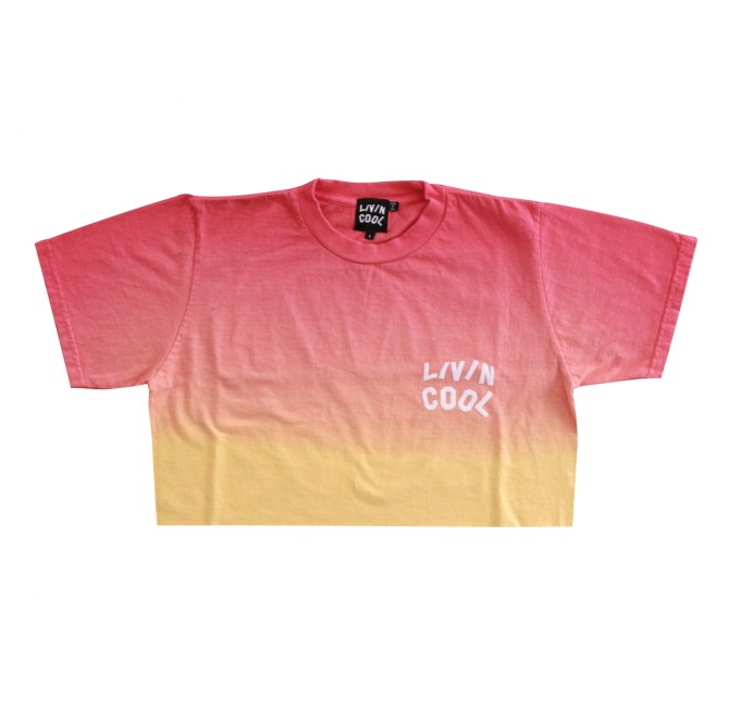 STYLECASTER | livincool gradient collection color of change