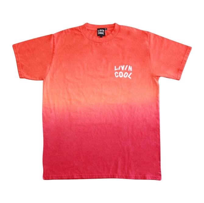 STYLECASTER | livincool gradient collection color of change