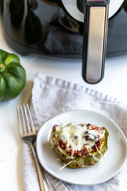 STYLECASTER | Healthy Air Fryer Recipes