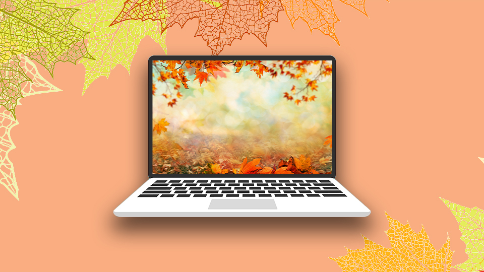 STYLECASTER | Fall Zoom Backgrounds