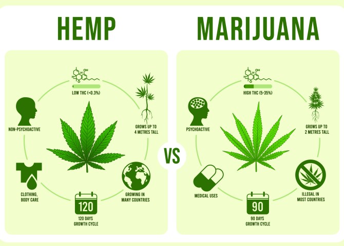 STYLECASTER | 4/20 Zoom Backgrounds