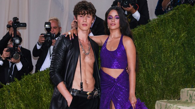 Shawn Mendes, Camila Cabello