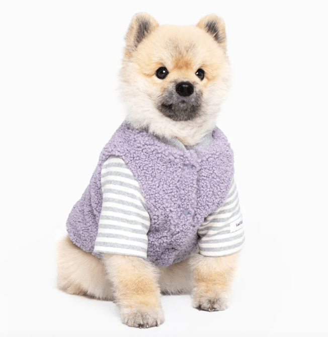 sweater for dog