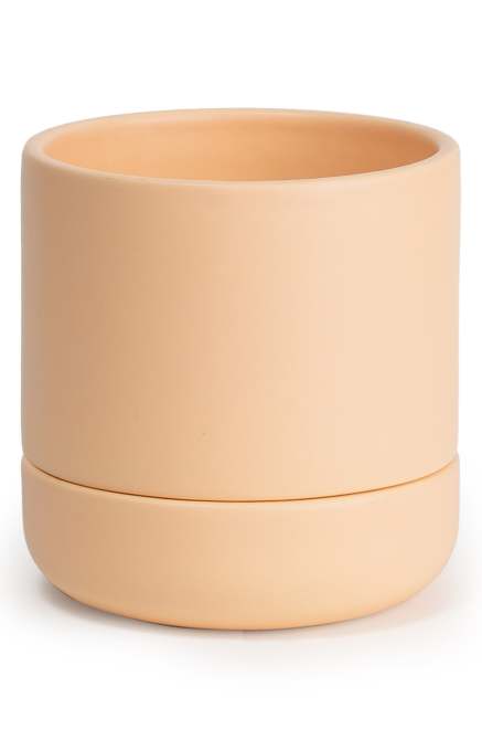 Franklin 12 Self Watering Planter