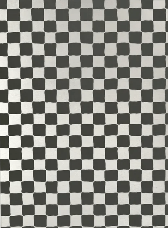 Euron Checkered Area Rug in Black/White