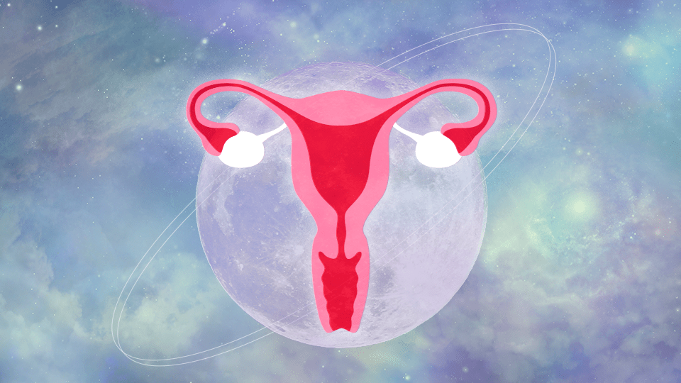 StyleCaster, Ovaries, Female Reproductive System, Roe v Wade
