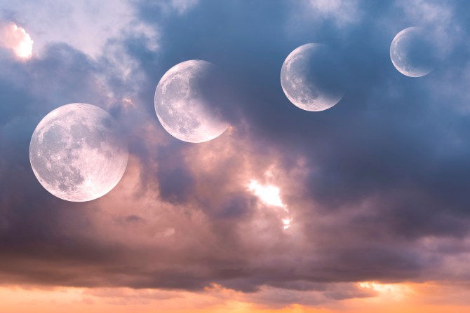 Phases of the Moon Lunar Cycle