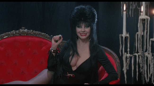 Elvira: Mistress of the Dark