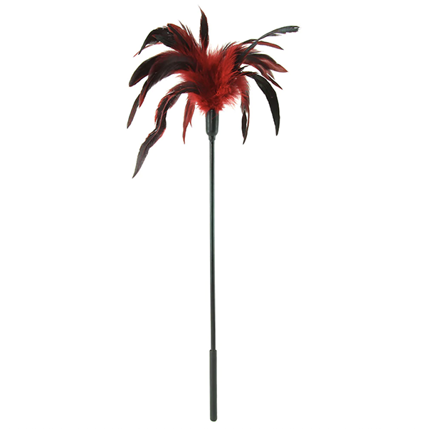 A body tickler with red and black feathers on one end