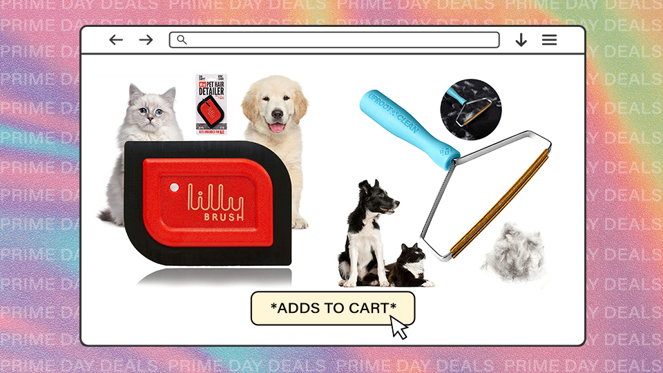 Amazon Prime Day 2023 Pet Hair Cleaning Tools