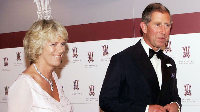 Camilla Parker Bowles Young Photos: Queen Camilla Now vs Then