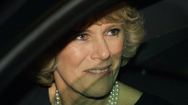 Camilla Parker Bowles Young Photos: Queen Camilla Now vs Then