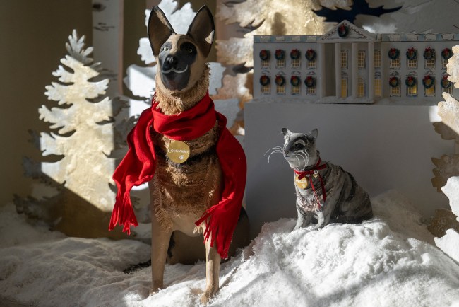 US President Joe Biden's dog Commander and cat Willow are displayed during a media preview for the 2022 Holidays at the White House in Washington, DC, November 28, 2022. We the People is the theme for the 2022 White House Holiday Season.