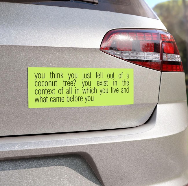 You Think You Just Fell Out of A Coconut Tree? Bumper Sticker