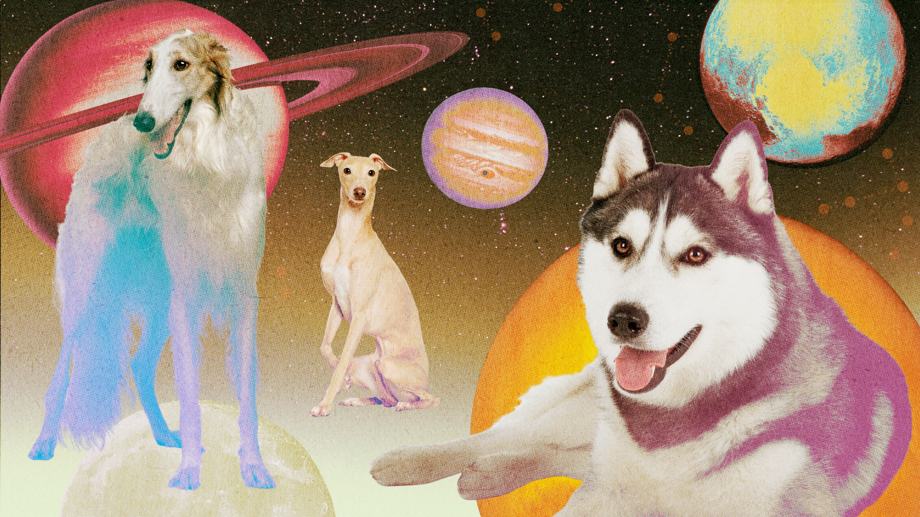 Various dogs in front of planets in outer space with neon prismatic colors