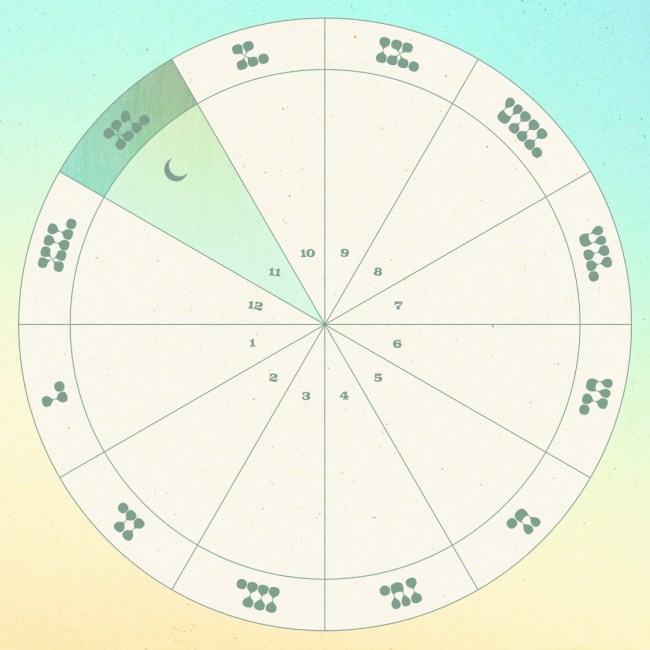 The moon in the eleventh house