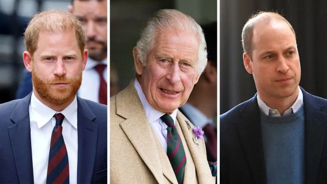 Prince Harry, King Charles and Prince William