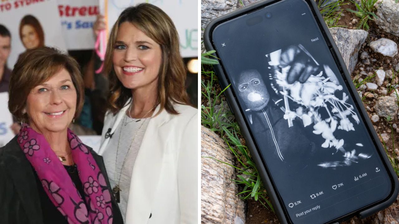 Nancy Guthrie kidnapper